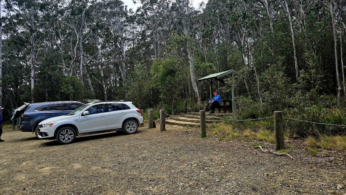 Andrew Laurie Lookout