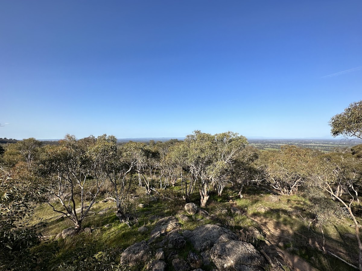Ryans Lookout
