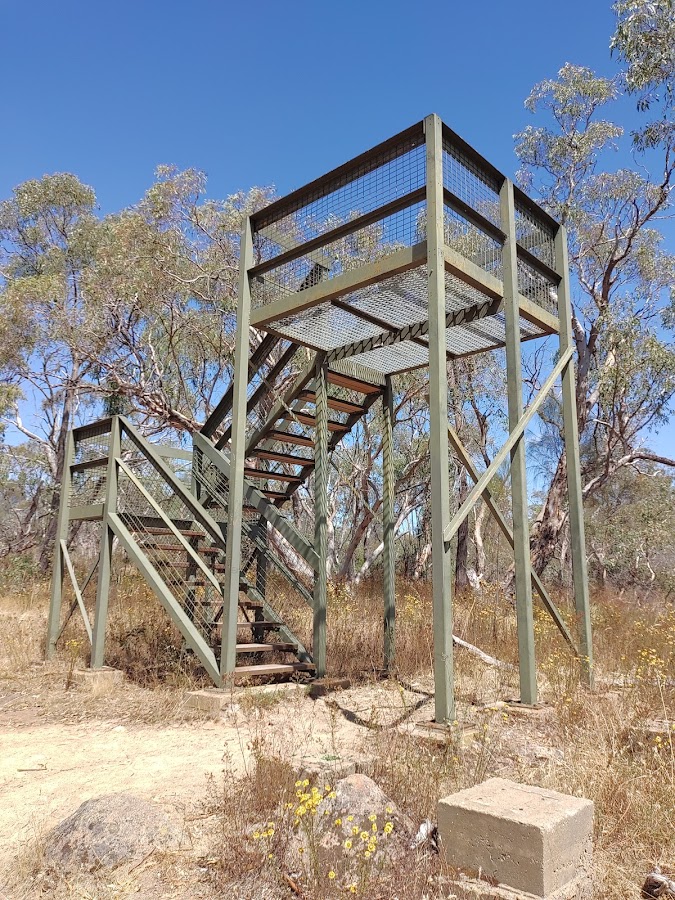 Ryans Lookout