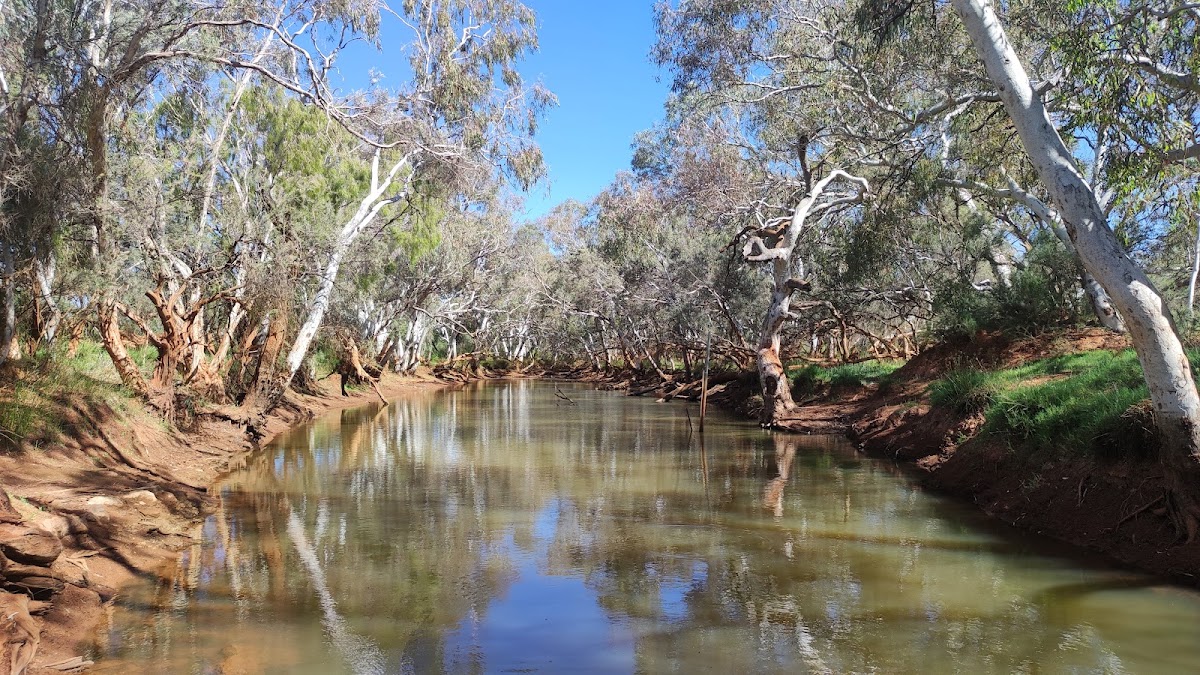 Gascoyne River (South Branch) / Doolgunna