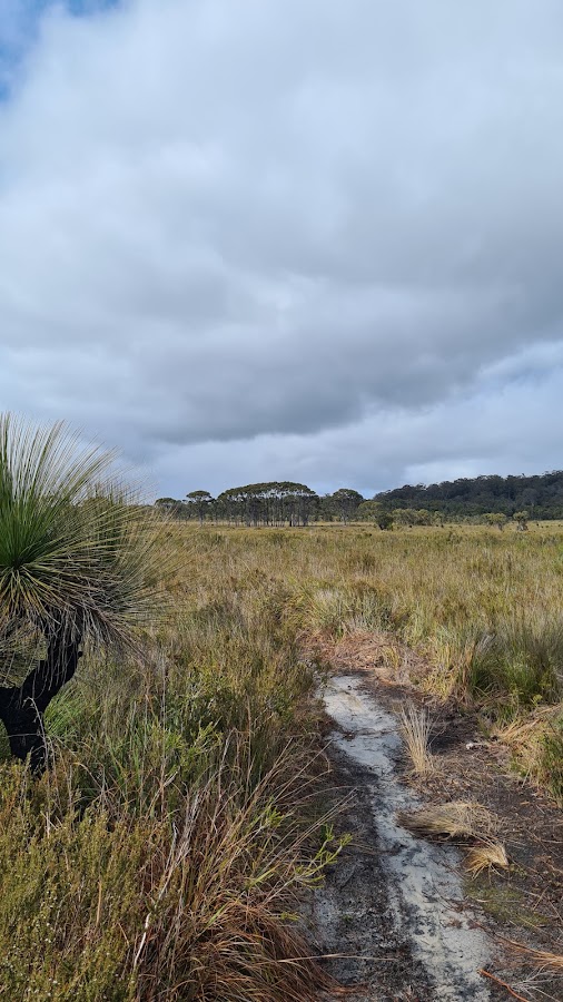 Woolbales Campsite