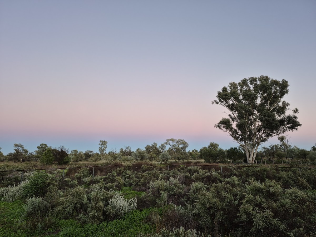 Bowra Wildlife Sanctuary Nature Refuge