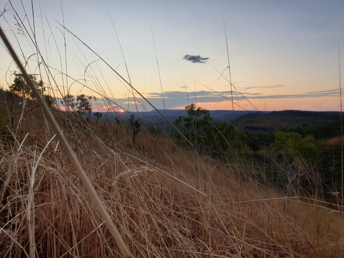 Saddelback Ridge Lookout