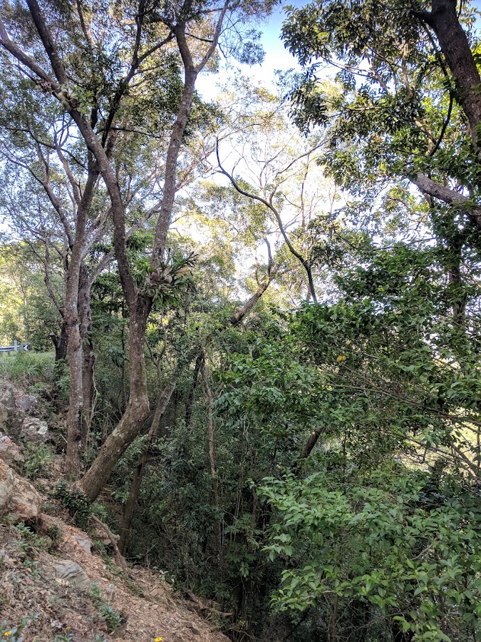 Dinden National Park