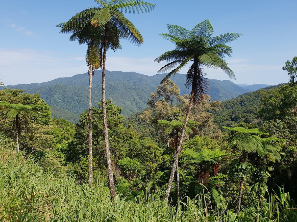 Dinden National Park