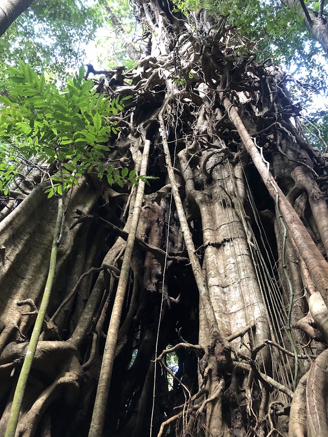 Dinden National Park