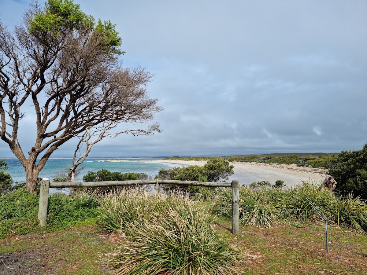 Blackmans Lagoon Camping Area - Waterhouse Cons Area