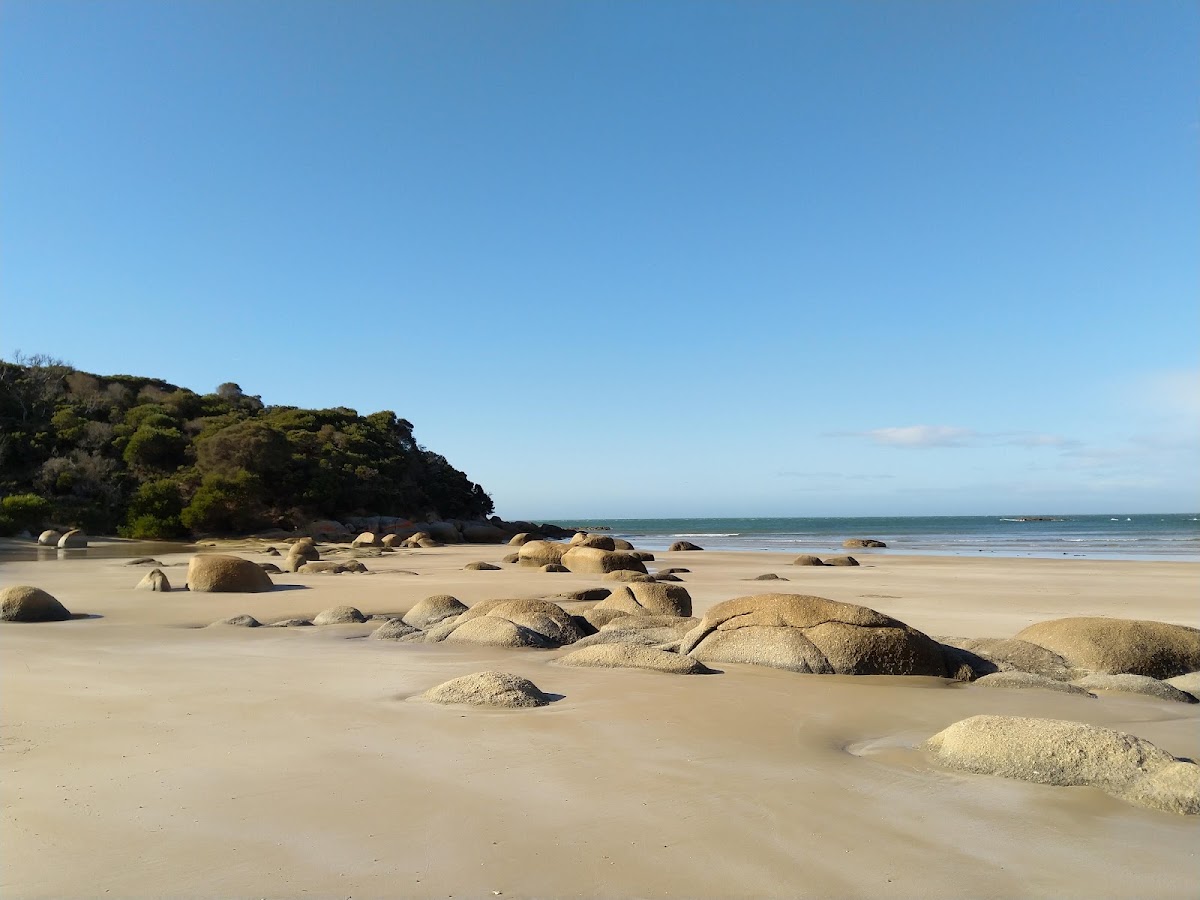 Blackmans Lagoon Camping Area - Waterhouse Cons Area