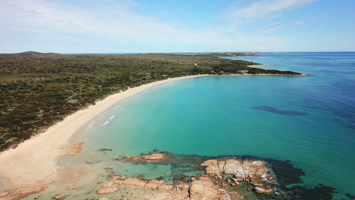 Blackmans Lagoon Camping Area - Waterhouse Cons Area