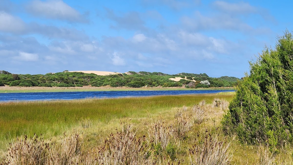 Blackmans Lagoon Camping Area - Waterhouse Cons Area