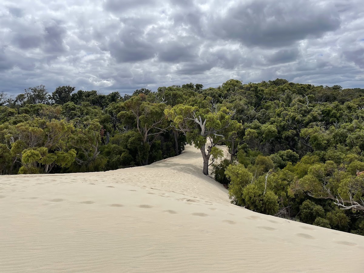 Greater Hawke National Park