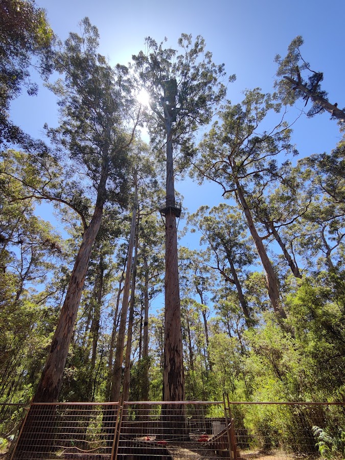 Greater Hawke National Park