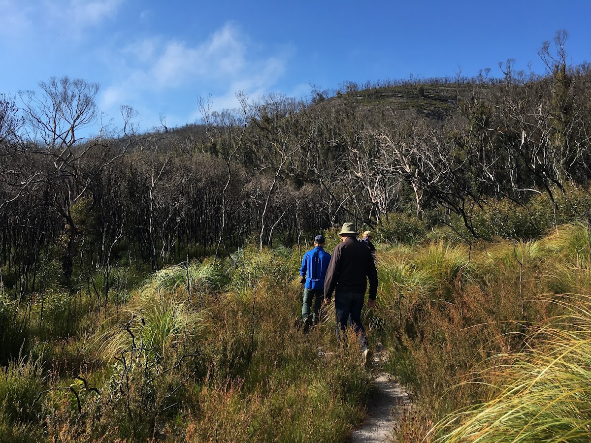 Budawang National Park