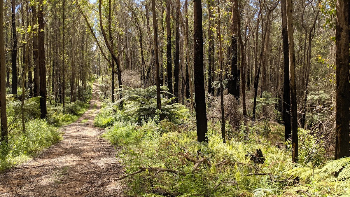 Budawang National Park