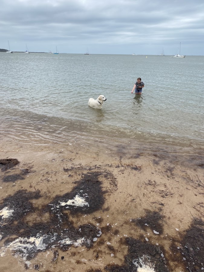 Dog Beach