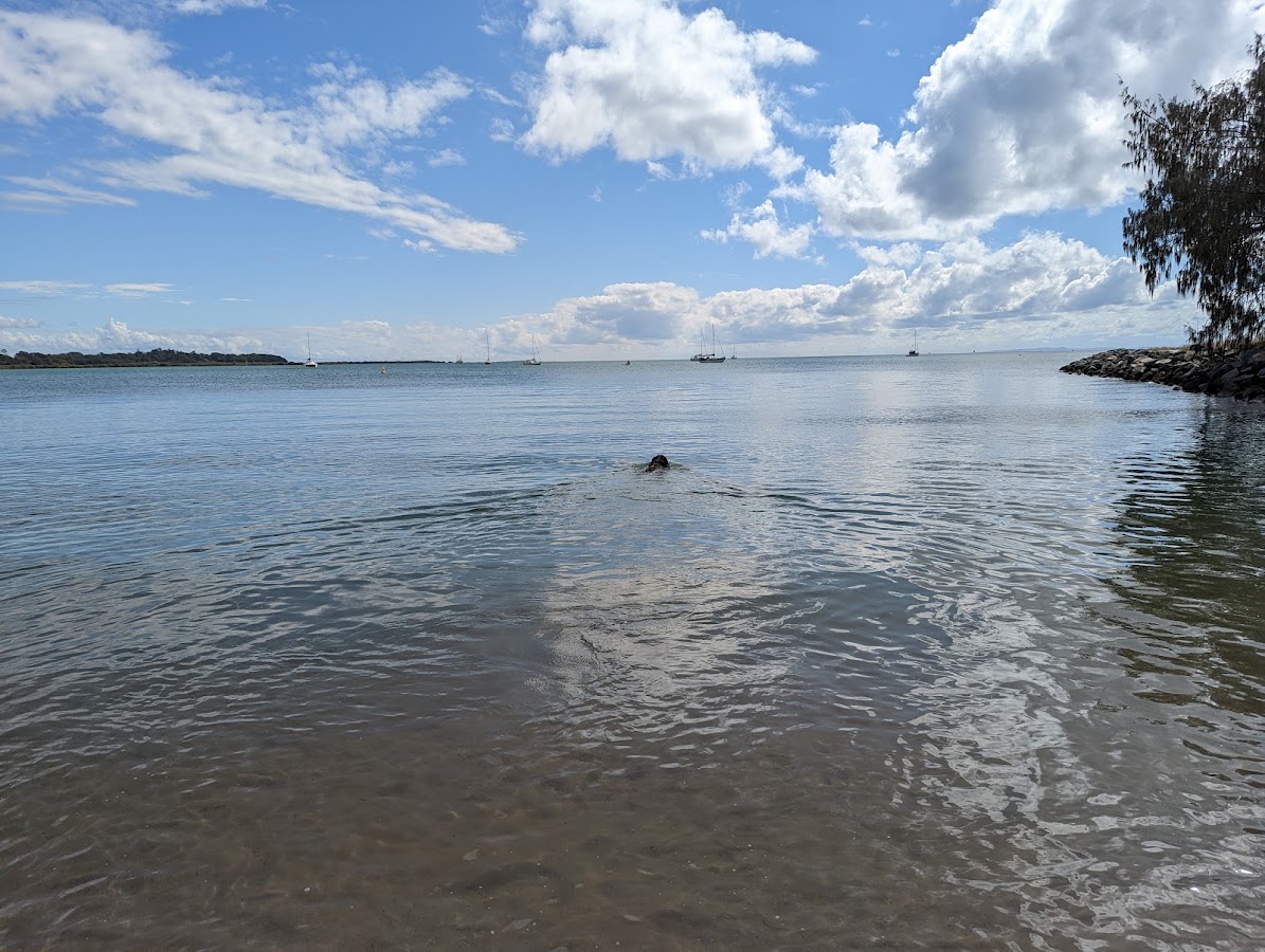 Dog Beach