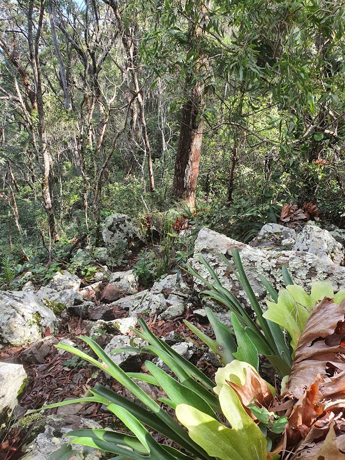 Woowoonga National Park