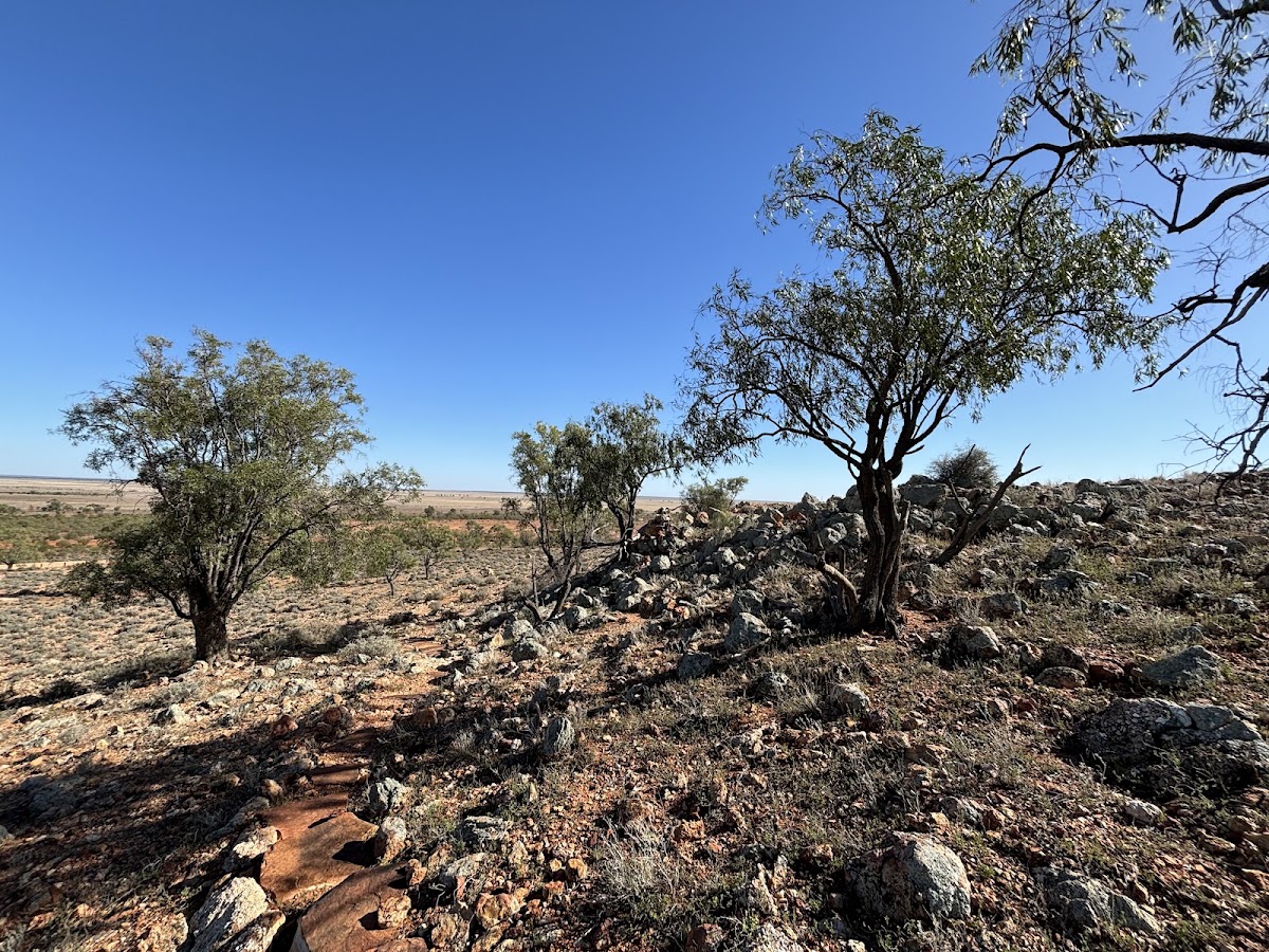 Mount Talowla Lookout