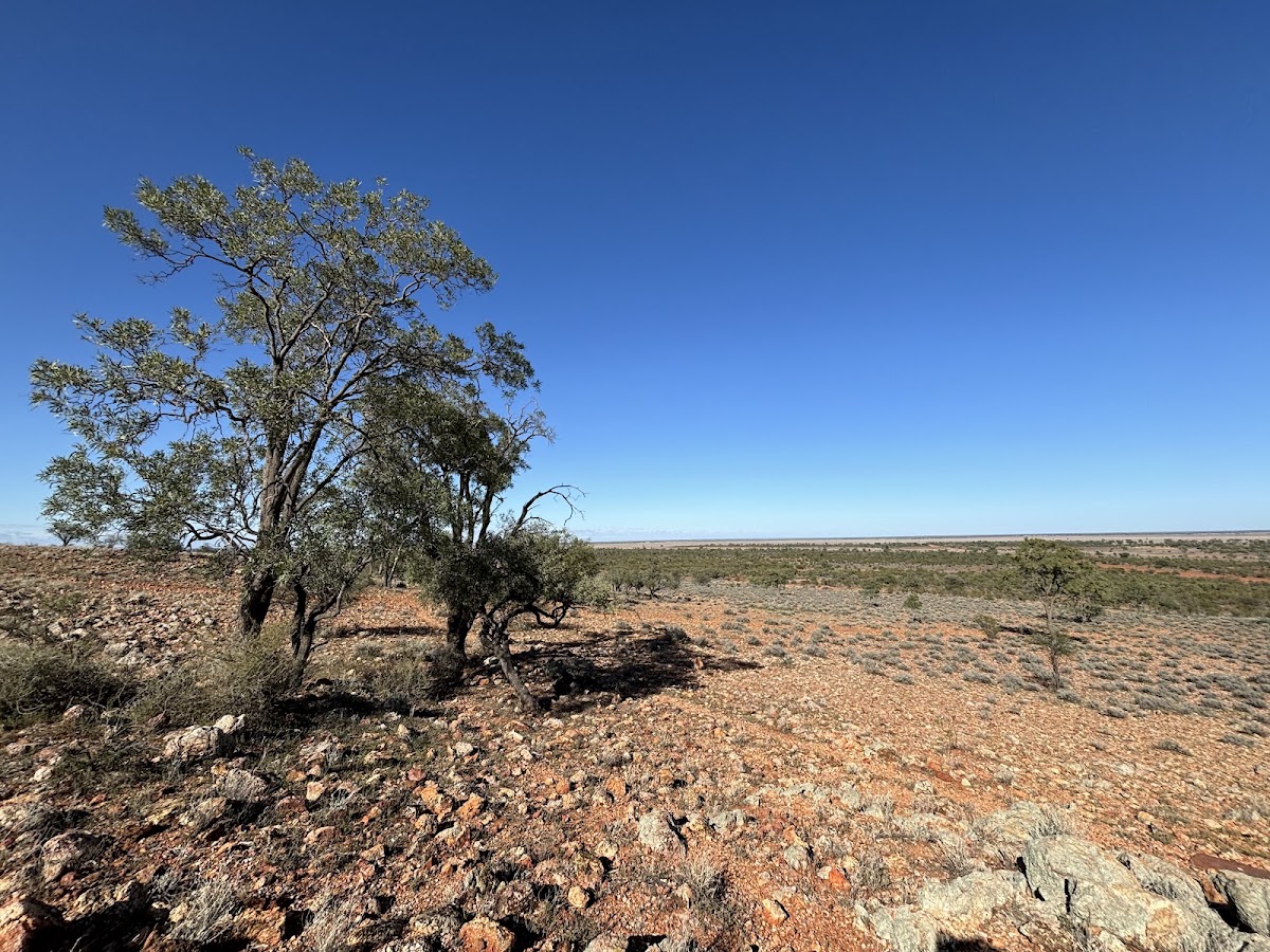 Mount Talowla Lookout