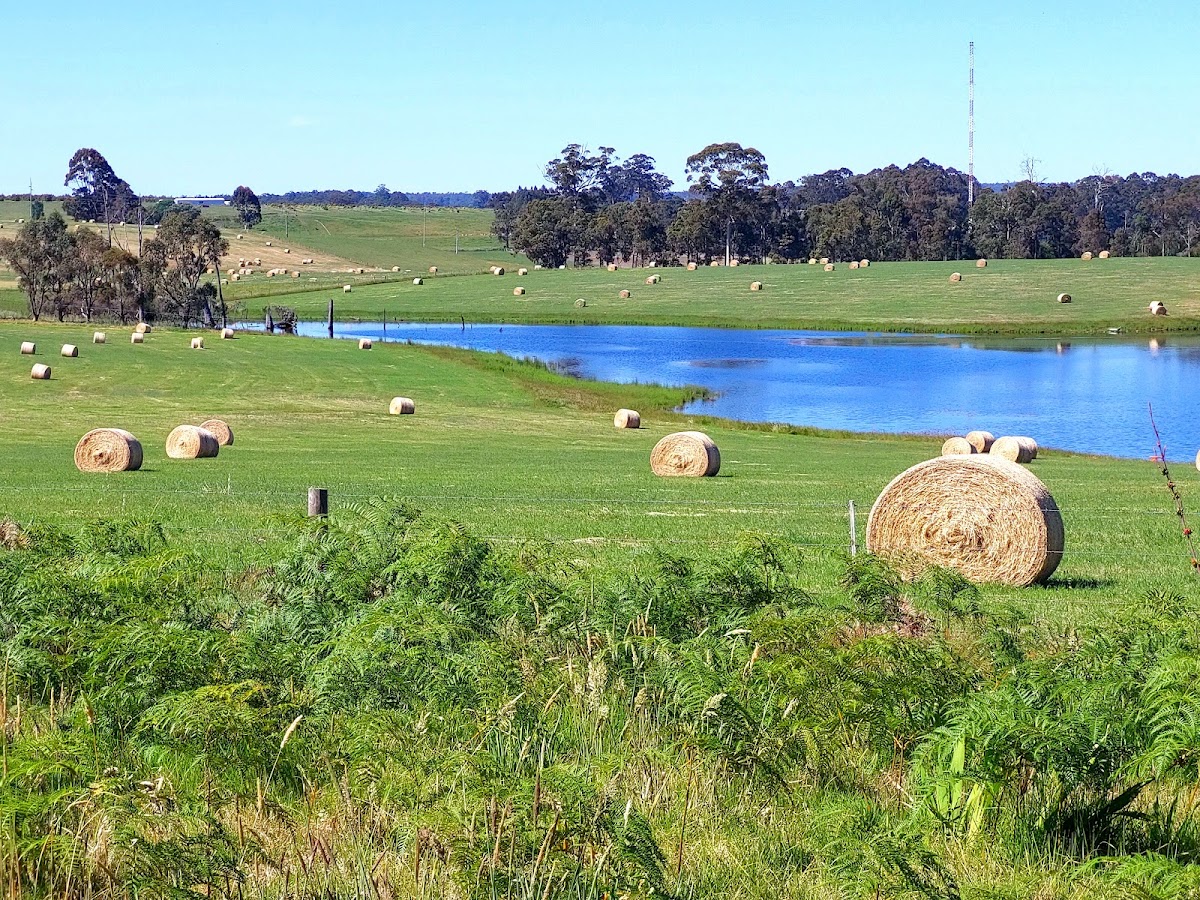 Sir James Mitchell National Park