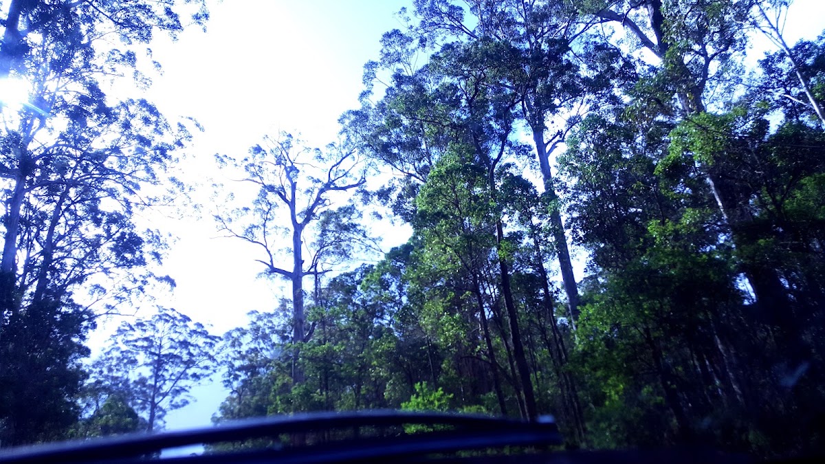Sir James Mitchell National Park