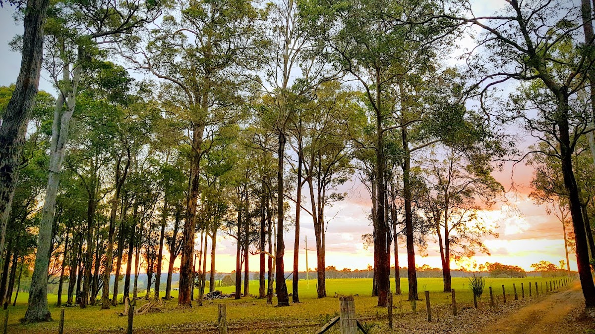 Sir James Mitchell National Park