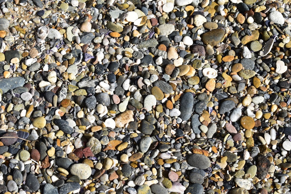 Turmeil Beach